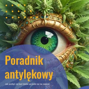 Poradnik antylękowy (e-book) - E-book